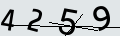 verifycode